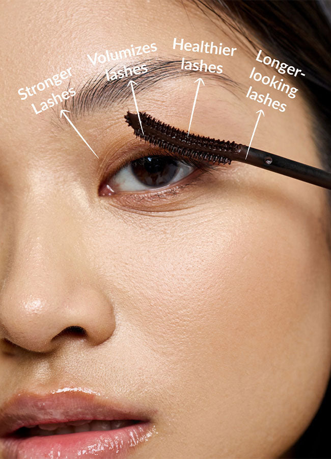 Lipocils Mascara – Talika USA